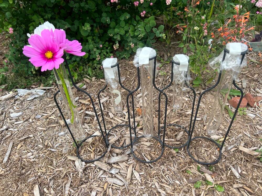 Metal Bottle Stand with Glass Test Tubes Propagation Station